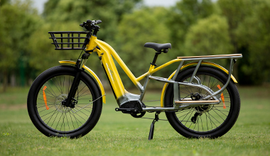 C19-3&nbsp;&nbsp;CargoMover PF