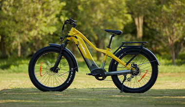 S73-5&nbsp; &nbsp;PowerGlide