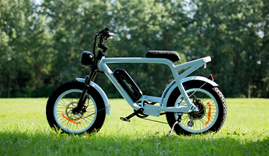 S82-4&nbsp; &nbsp;BEEQI