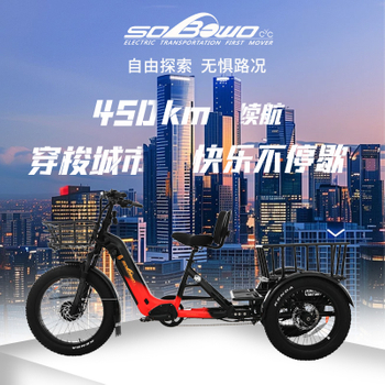 爆款上新迈克北极熊双驱长续航48V三轮车1000W力矩传感爬坡省力老年电动三轮