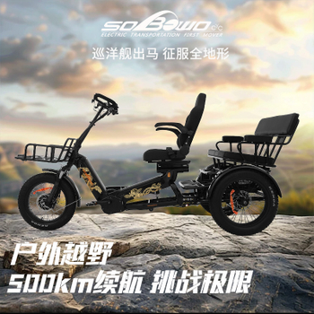 130AH 200NM 巡洋舰力矩三轮车400公里超长待机1000W老年力矩助力三轮车